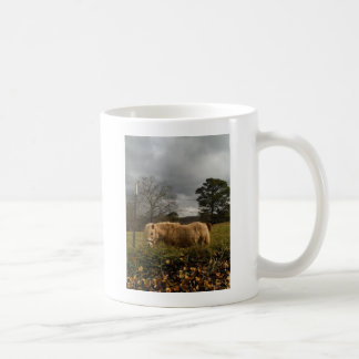 Blond Miniature Pony / Pferd Kaffeetasse