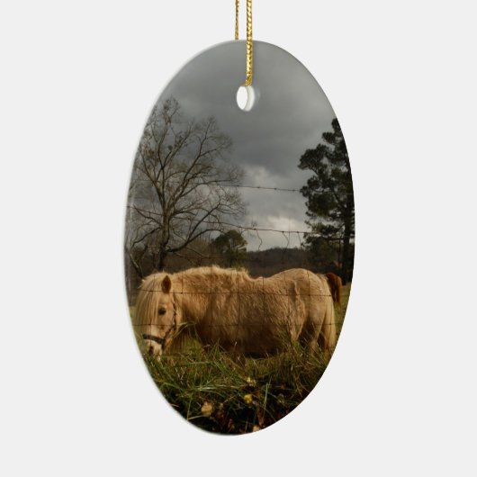 Blond Miniature Pony / Pferd Keramikornament (Rechts)