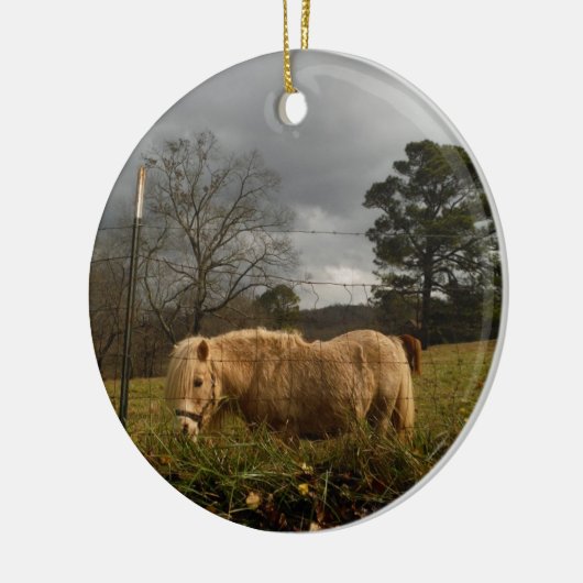 Blond Miniature Pony / Pferd Keramikornament (Links)