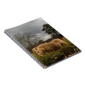 Blond Miniature Pony / Pferd Notizblock (Rechte Seite)