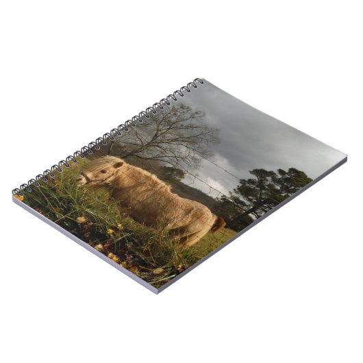 Blond Miniature Pony / Pferd Notizblock (Linke Seite)