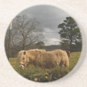 Blond Miniature Pony / Pferd Untersetzer (Vorne)