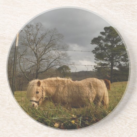 Blond Miniature Pony / Pferd Untersetzer (Vorne)