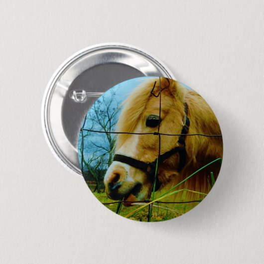 Blond Miniature Pony / Pferdeblauer Himmel Button (Vorne & Hinten)
