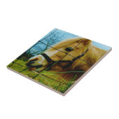Blond Miniature Pony / Pferdeblauer Himmel Fliese (Seite)