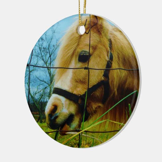 Blond Miniature Pony / Pferdeblauer Himmel Keramik Ornament (Links)