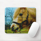 Blond Miniature Pony / Pferdeblauer Himmel Mousepad (Mit Mouse)