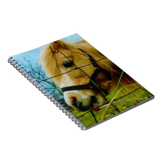 Blond Miniature Pony / Pferdeblauer Himmel Notizblock (Rechte Seite)