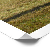 Blonde Aquitaine Kuh Poster (Ecke)