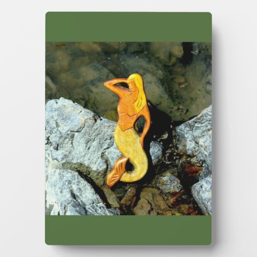 Blonde-Aussichtshemme Fotoplatte (Vorderseite)