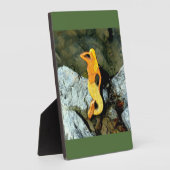 Blonde-Aussichtshemme Fotoplatte (Seite)