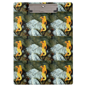 Blonde-Aussichtspersonen Klemmbrett