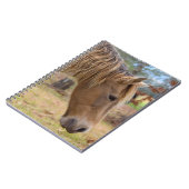 Blonde Beauty Horse Notebook Notizblock (Linke Seite)