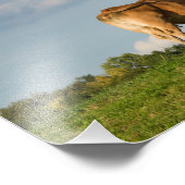 Blonde d'Aquitaine Kuh in der Region Dordogne, Fra Fotodruck (Ecke)