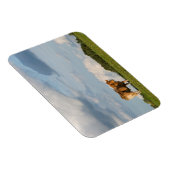 Blonde d'Aquitaine Kuh in der Region Dordogne, Fra Magnet (Rechte Seite)