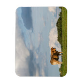 Blonde d'Aquitaine Kuh in der Region Dordogne, Fra Magnet (Vertikal)