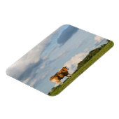 Blonde d'Aquitaine Kuh in der Region Dordogne, Fra Magnet (Linke Seite)