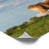 Blonde d'Aquitaine Kuh in der Region Dordogne, Fra Poster (Ecke)