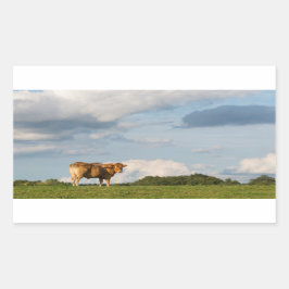 Blonde d'Aquitaine Kuh in der Region Dordogne, Fra Rechteckiger Aufkleber