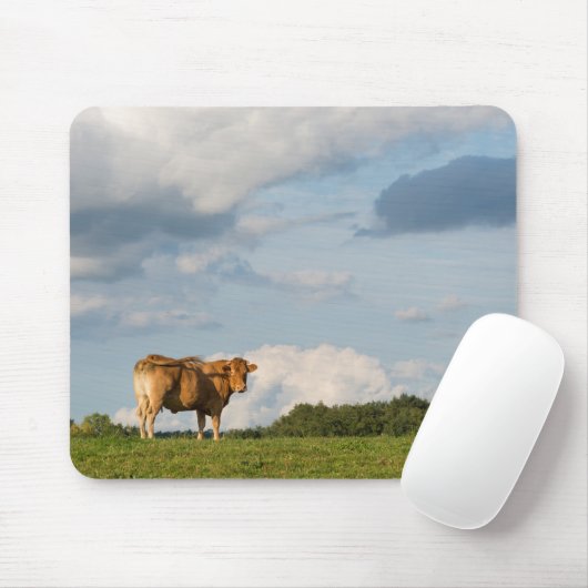 Blonde d'Aquitaine Kuh in Dordogne-Region, Mousepad (Mit Mouse)