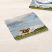 Blonde d'Aquitaine Kuh in Dordogne-Region, Rechteckiger Pappuntersetzer (angewinkelt)