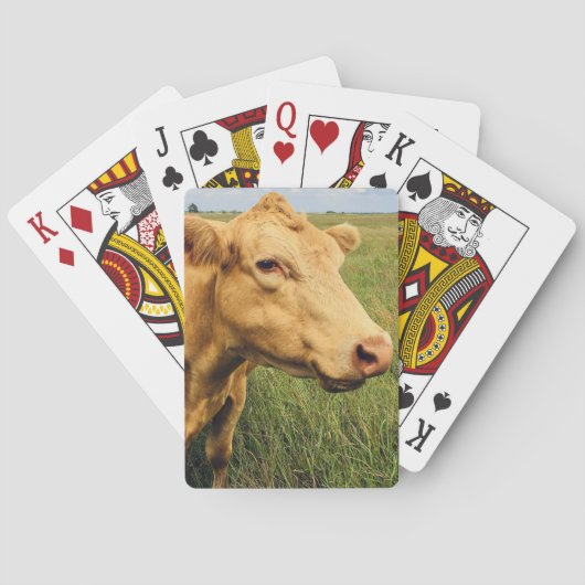 Blonde Kuh Spielkarten (Rückseite)