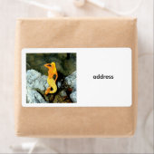 Blonde Meerjungfrau (Insitu)