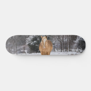 Blonde Pferdeschlittenwanderung auf dem Schneeschu Skateboard
