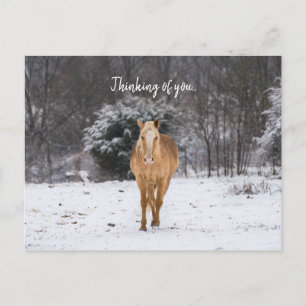 Blonde Pferdeschlittenwanderung im Schnee, die an Postkarte