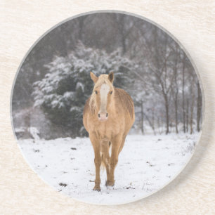 Blonde Pferdewanderung im Schnee Getränkeuntersetzer