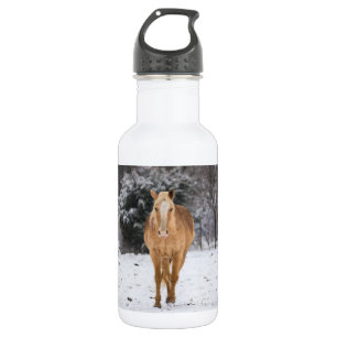 Blonde Pferdewanderung im schneesicheren, rostfrei Edelstahlflasche