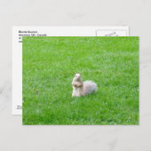 Blonde Postkarte (Vorne/Hinten)