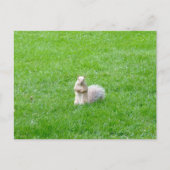 Blonde Postkarte (Vorderseite)