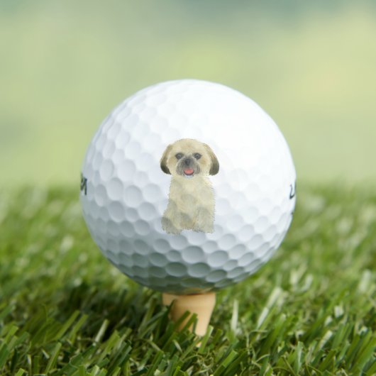 Blonde Tan Golden Shih Tzu Golfball (Insitu T-Shirt)