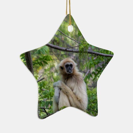 Blonder Gibbon-Affe - Hylobates Lar Keramik Ornament (Rechts)