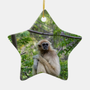 Blonder Gibbon-Affe - Hylobates Lar Keramik Ornament