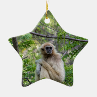 Blonder Gibbon-Affe - Hylobates Lar Keramik Ornament