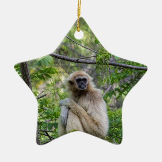 Blonder Gibbon-Affe - Hylobates Lar Keramik Ornament (Vorne)