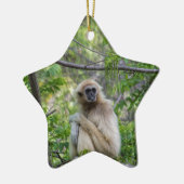 Blonder Gibbon-Affe - Hylobates Lar Keramik Ornament (Links)