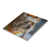 Blondes Yorkshire Terrier Fliese (Seite)