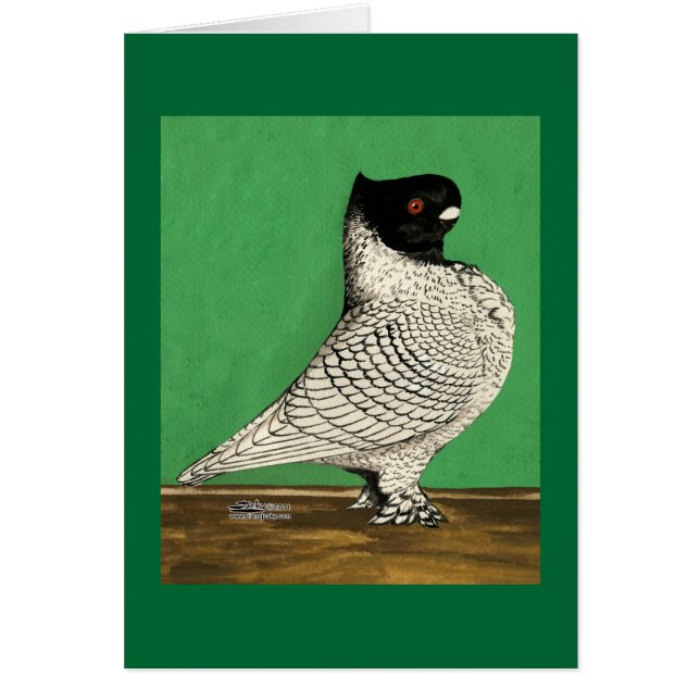 Blondinette Frill Pigeon (Vorne)