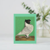 Blondinette Frill Pigeon Postkarte (Stehend Vorderseite)