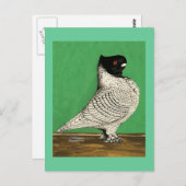 Blondinette Frill Pigeon Postkarte (Vorne/Hinten)