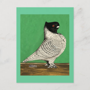 Blondinette Frill Pigeon Postkarte