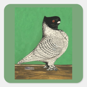 Blondinette Frill Pigeon Quadratischer Aufkleber
