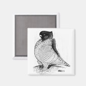 Blondinette Pigeon Laced 1978 Magnet (Vorderseite/Rückseite)