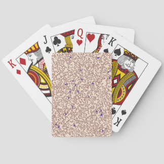 Blood CBC Slide Classic Playing Cards Spielkarten