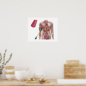Blood Pressure And Circulatory System Poster (Küche)