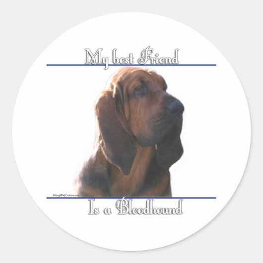 Bloodhound Best Friend; Bloodhound Geschenke; Runder Aufkleber (Vorderseite)