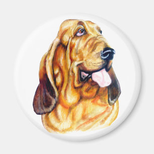 Bloodhound Bust Magnet